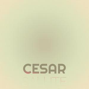 Cesar Salute