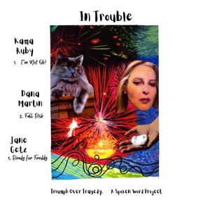 In Trouble Triumph Over Tragedy A Spoken Word Project (Explicit)