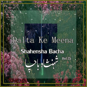 Dalta Ke Meena, Vol. 35