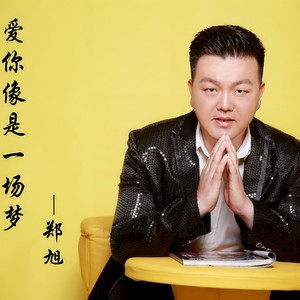 爱你像是一场梦封面