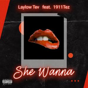 She Wanna (feat. 1911tez) [Radio Edit]