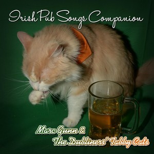 Irish Pub Songs Companion