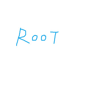 Root