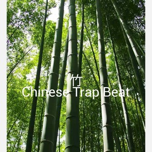 竹林 Chinese Trap