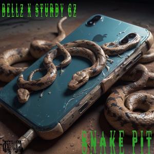 Snake Pit (feat. Sturdy Gz) (Explicit)