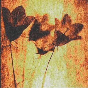 J'en veux pas plus (feat. Snelov) (Explicit)