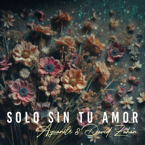 Solo Sin Tu Amor