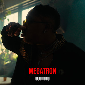 Megatron (Explicit)