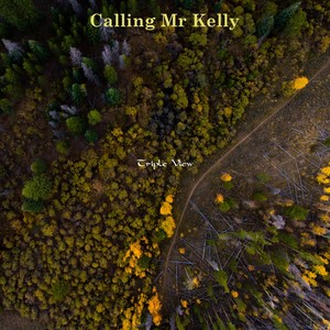 Calling Mr Kelly