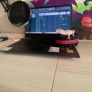 Rude (feat. Dutchy) (Explicit)