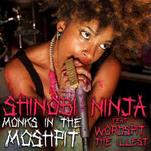 Monks in the Moshpit