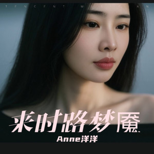 Anne洋洋 - 夜问无眠