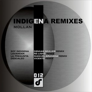 Descalzo (Vicente Remix)