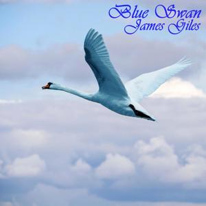 Blue Swan