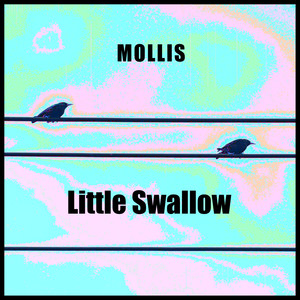 Little Swallow