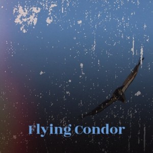 Flying Condor