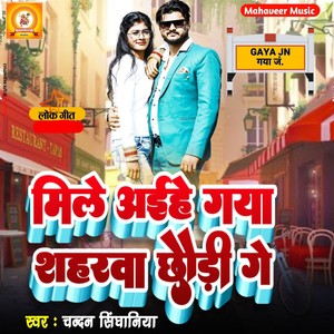 Mile Aihe Gaya Sharwa Chhaudi Ge