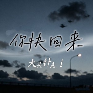 你快回来 (烟嗓男版)封面