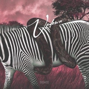 Up Down (Remix|Explicit)