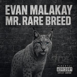 Mr.Rare Breed (Explicit)