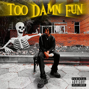 Too Damn Fun (Explicit)