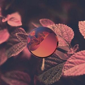 AWAY (feat. Prepare for the Future & Eryn Young)