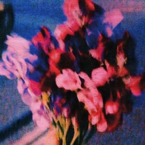 THE GIRL IN THE CAFÉ