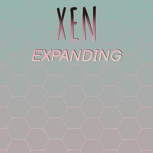 Xen Expanding