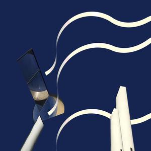 Virtue Signaling (feat. Steven Long & Erica Dicker)