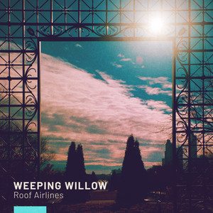 Weeping Willow