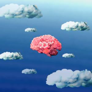 DOPAMINE (feat. Rodreep) (Explicit)