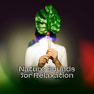 Nature Sounds for Relaxation