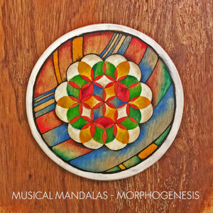 Morphogenesis