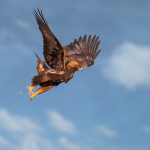 让我们关爱老人，关注骨健康