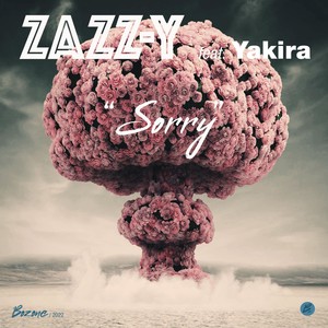 Sorry (Slap House Mix)