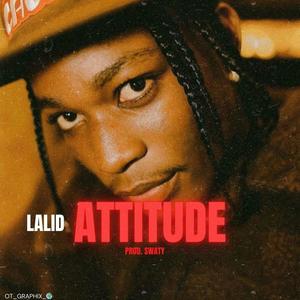 Attitude