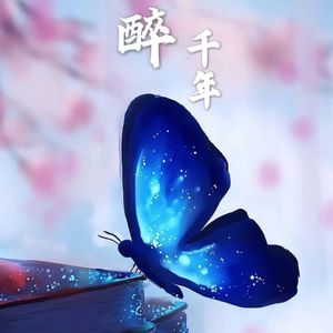 你是我唯一的执着