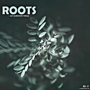 Roots