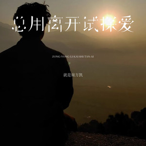 总用离开试探爱封面