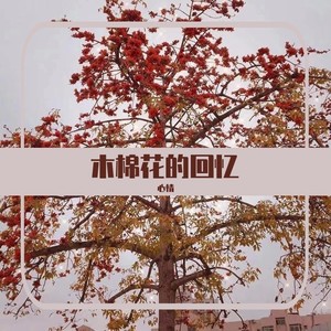 你是我找寻的光封面