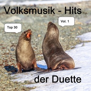 Top 30: Volksmusik-Hits der Duette, Vol. 1