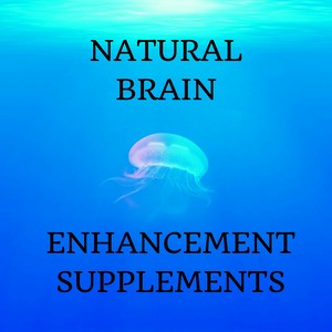 Natural Brain Enhancement Supplements