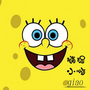 花落无声 (DJ版)