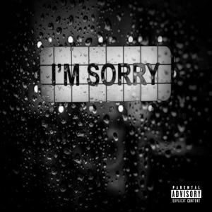 I'm Sorry (Explicit)