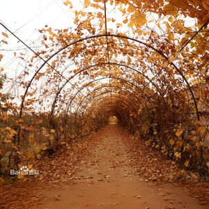 科技师院人之歌 (河北科师校歌)