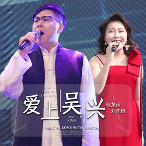 何龙雨 - 爱上吴兴 (DJ伟伟版伴奏)