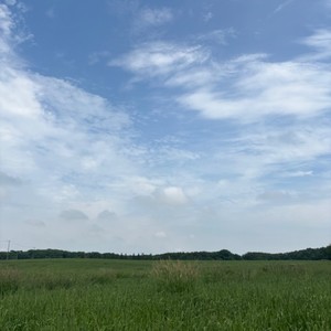 感謝