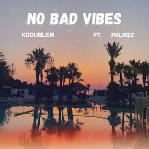 No Bad Vibes (feat. Palmzz)