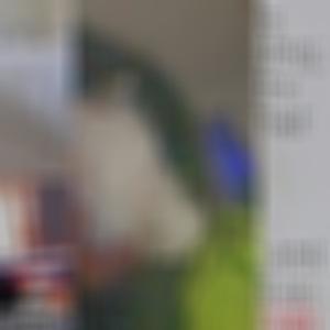 FUCCISUSAYIN (Explicit)