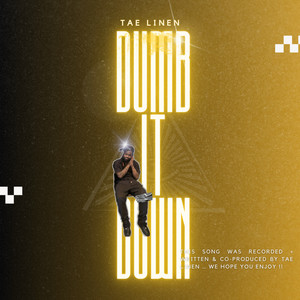 Dumb It Down (Explicit)